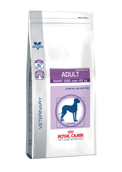 Adult giant dog