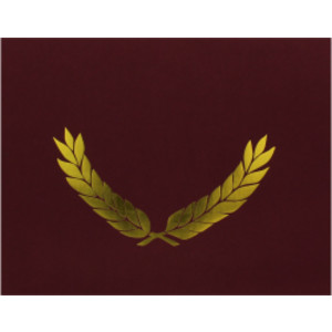 Gold Foil Stamped Maroon Certificate Folders, 10" x 13", Pack of 30