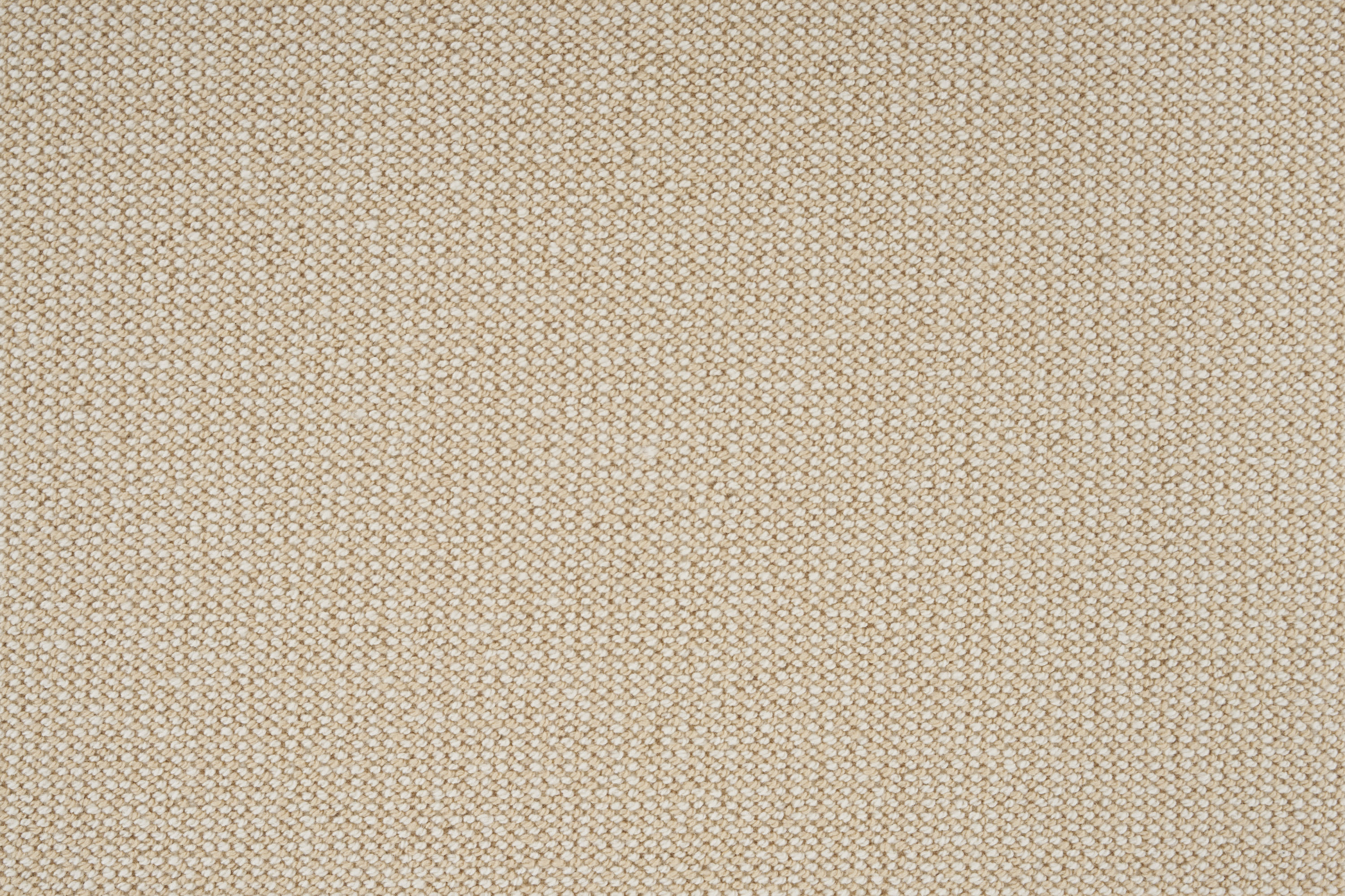 color-rug1