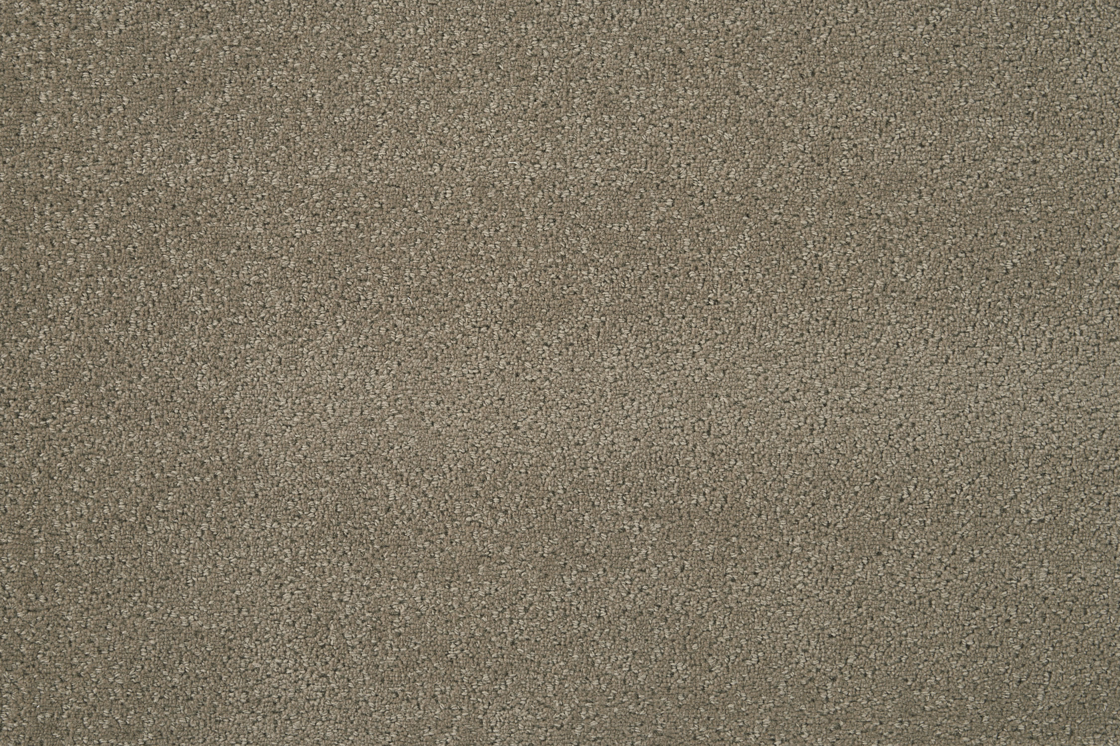 color-rug1