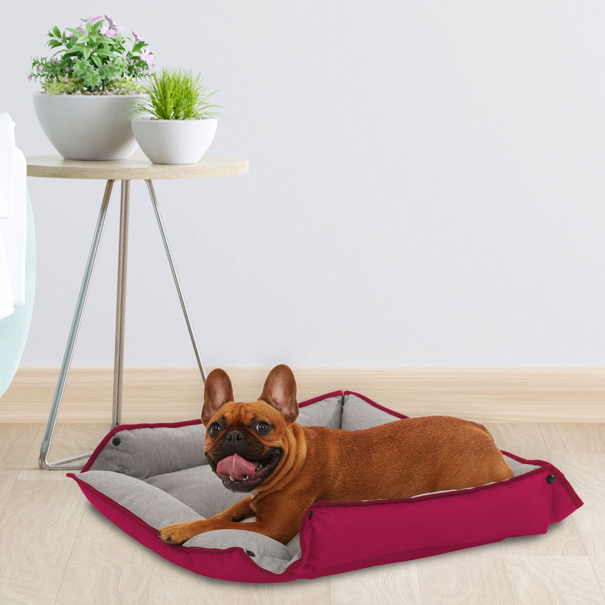 French bulldog lying down in the BLACK+DECKER four sided plush pet bed