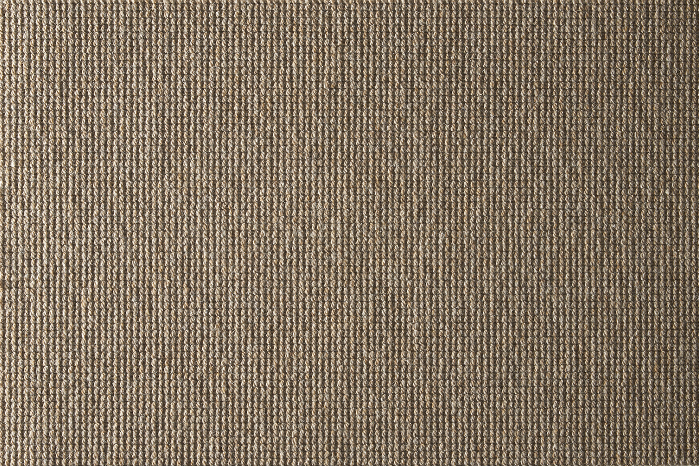 color-rug1