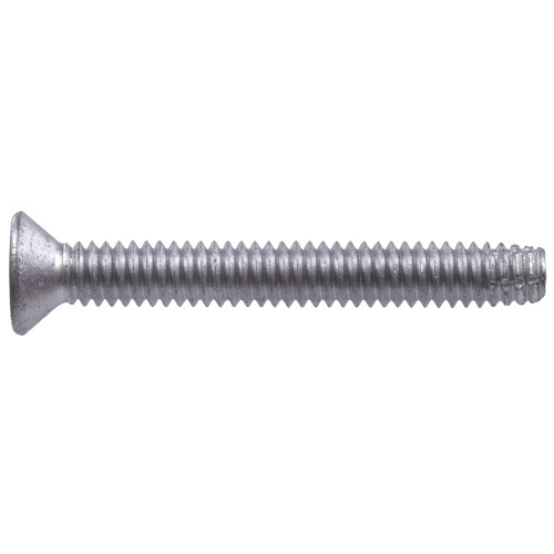Star Drive Floorboard Screws Thread Cutting Screws Screws Construction Fastener Products