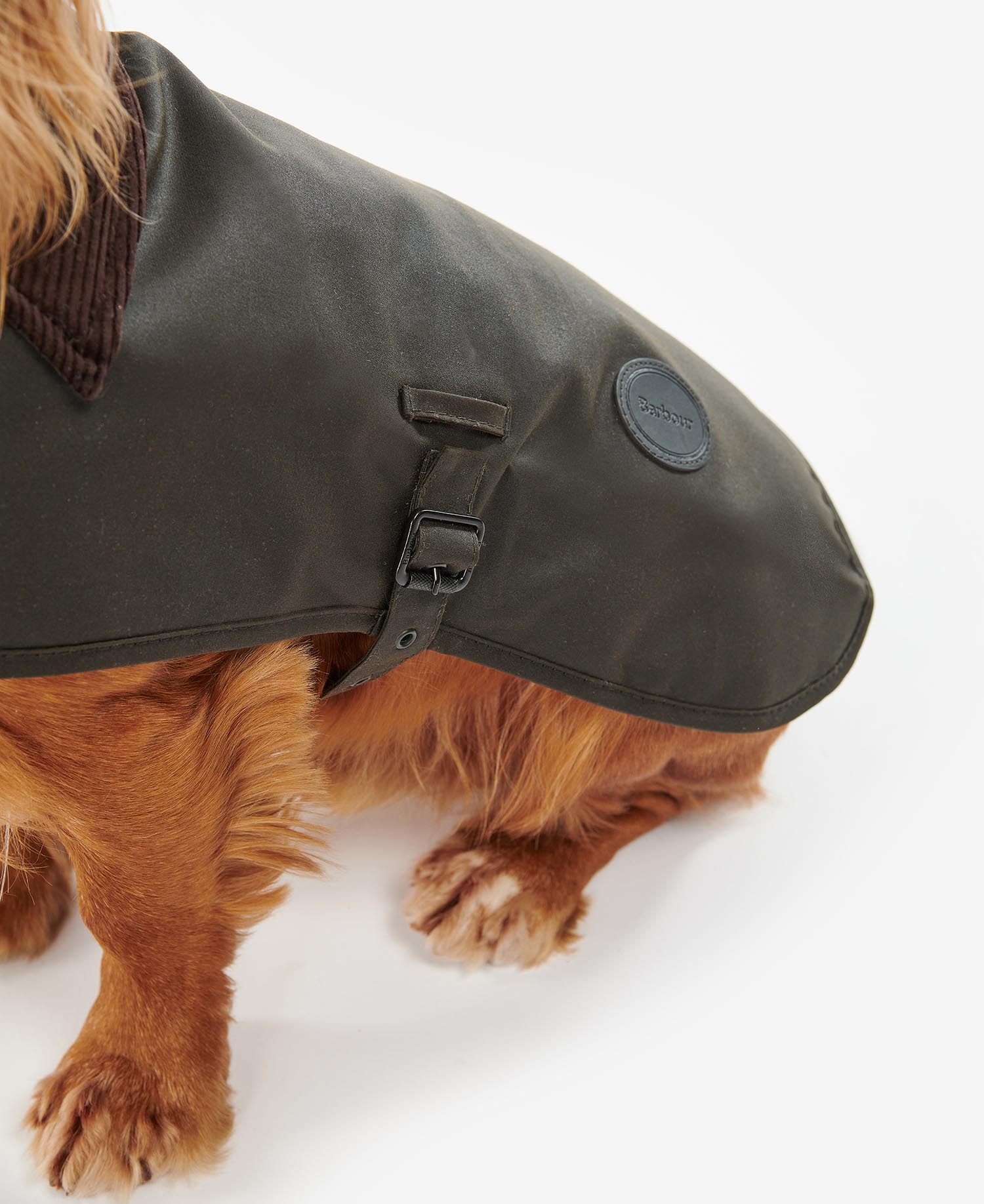 Hundemantel Wachs image number 4