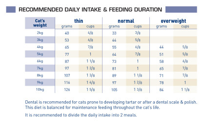 Dental feeding guide
