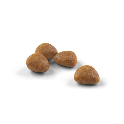 Outdoor 7+ kibble