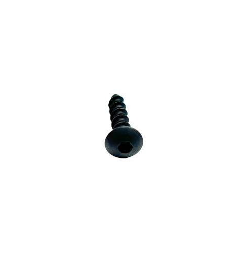 Screw 10-16 Pl Pnt 2.5 S