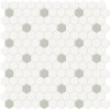 Studio Mint 1″ Hexagon with Insert Mosaic Matte