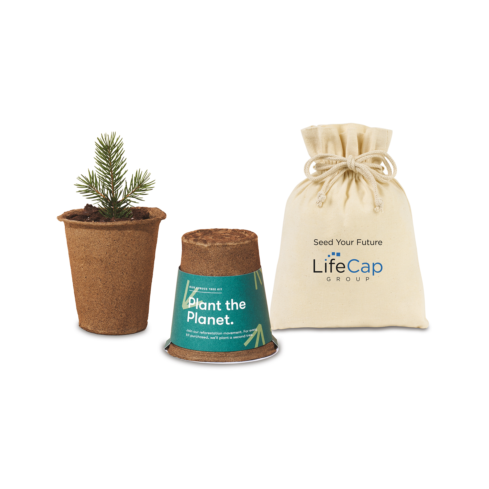 Modern Sprout® One For One Tree Kits-Modern Sprout