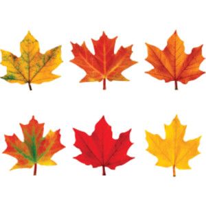 Maple Leaves Mini Accents Variety Pack, 36 ct