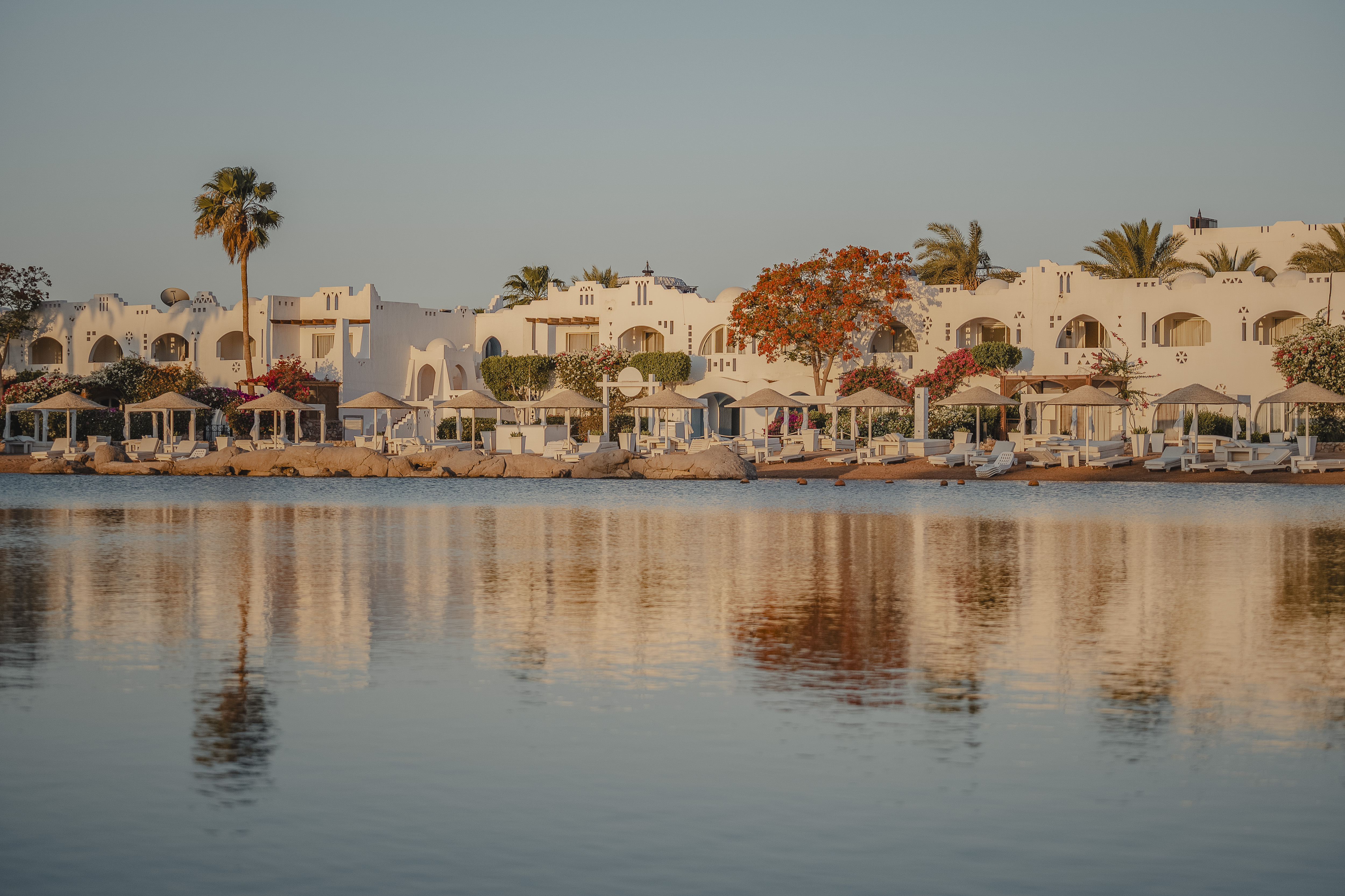 Fusina (Venice) → Jeddah (12 nights)