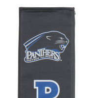 Eastern Illinois Panthers thumbnail 4