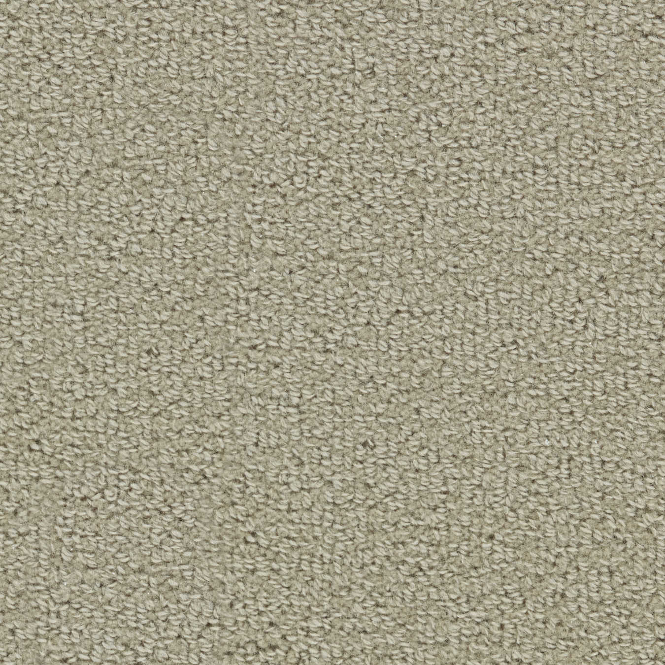 color-rug1