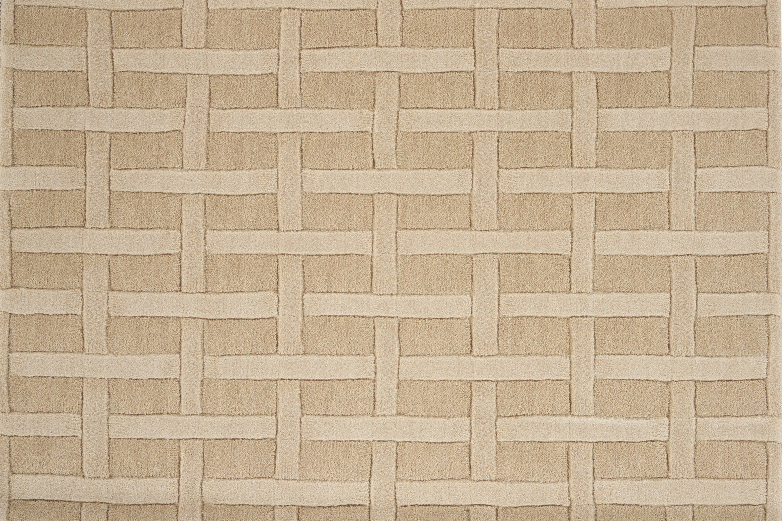 color-rug1