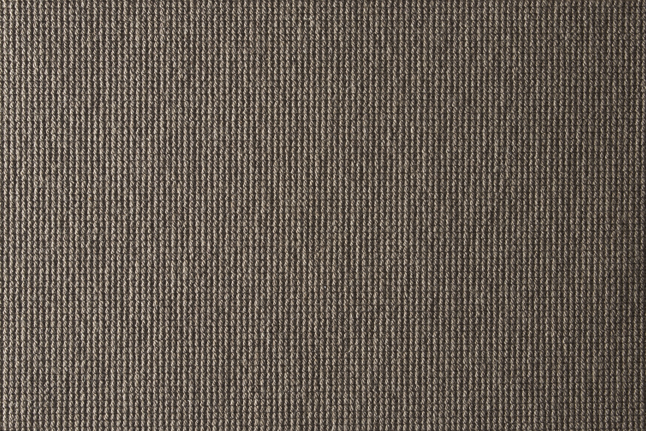 color-rug1