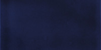Vivid Navy 3×6 Field Tile Glossy