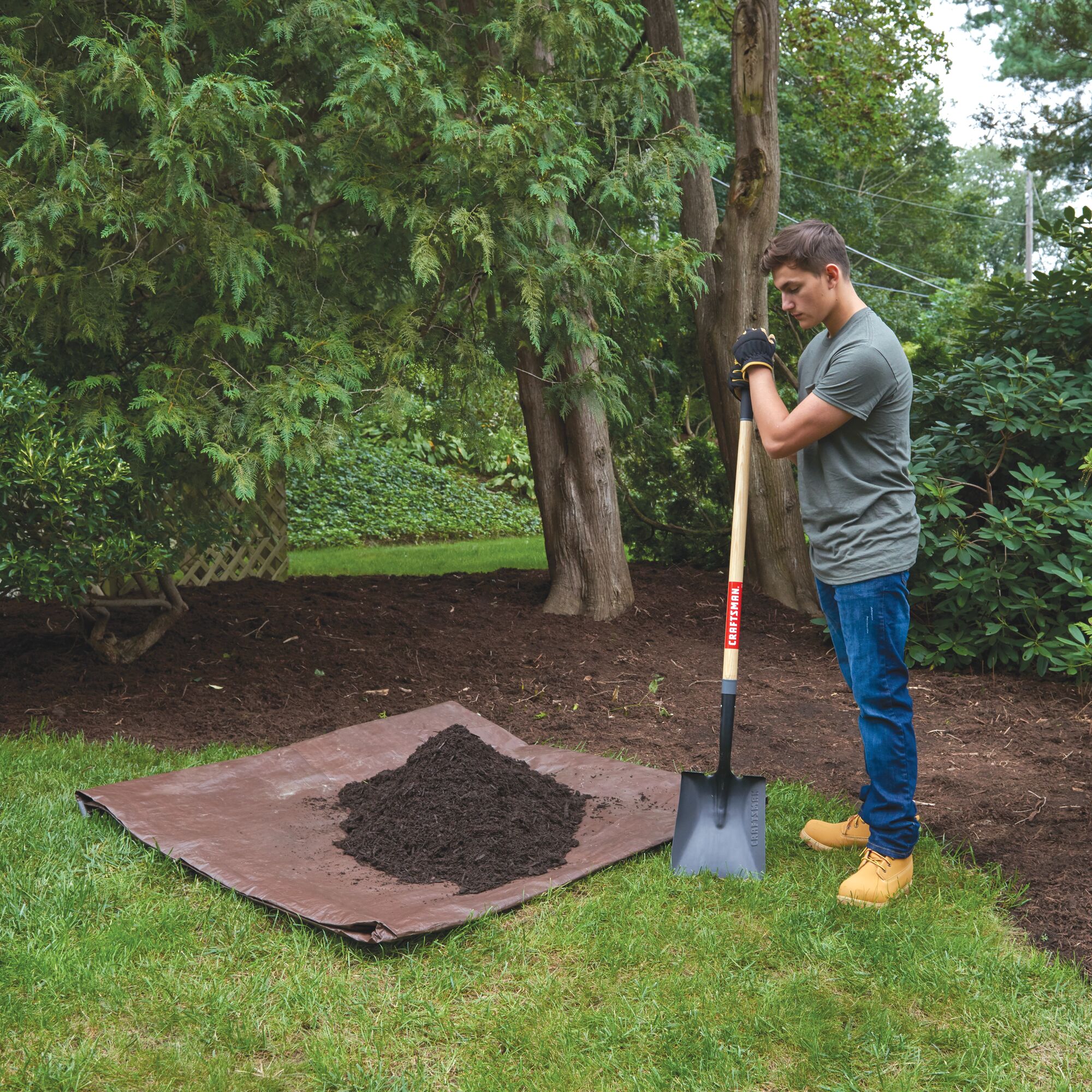 Wood handle transfer shovel being used in lawn.