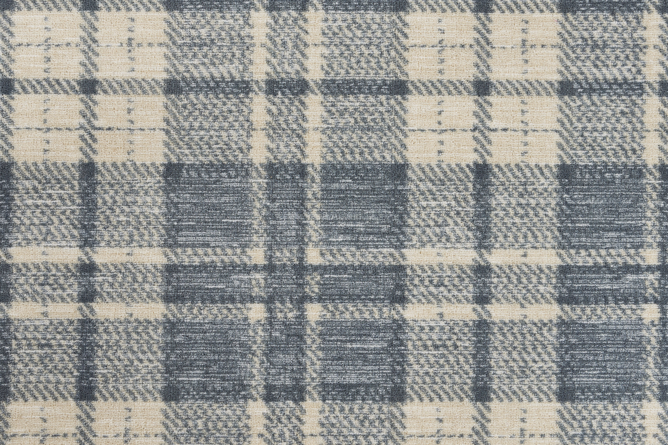 color-rug1
