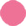 021 Rose Paradis