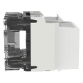 NetKey Cat 6A Jack Module, White