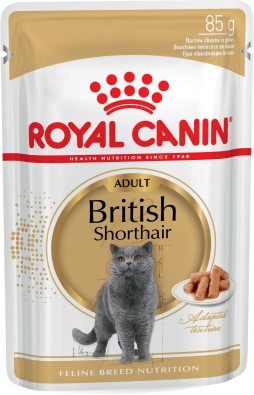 British Shorthair Adult (in gravy)