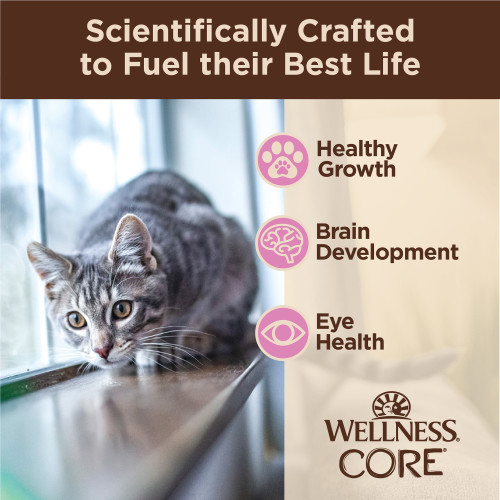 The benifts of Wellness CORE Tiny Tasters Kitten Chicken Pate