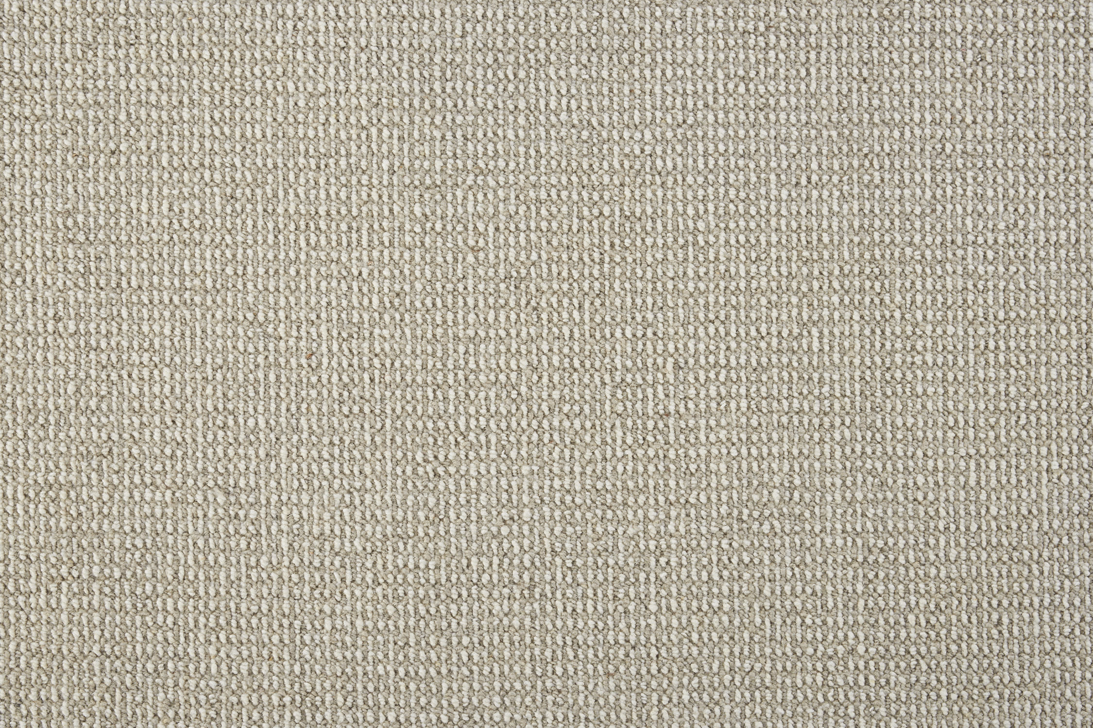 color-rug1