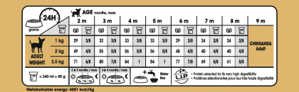 Chihuahua Puppy feeding guide