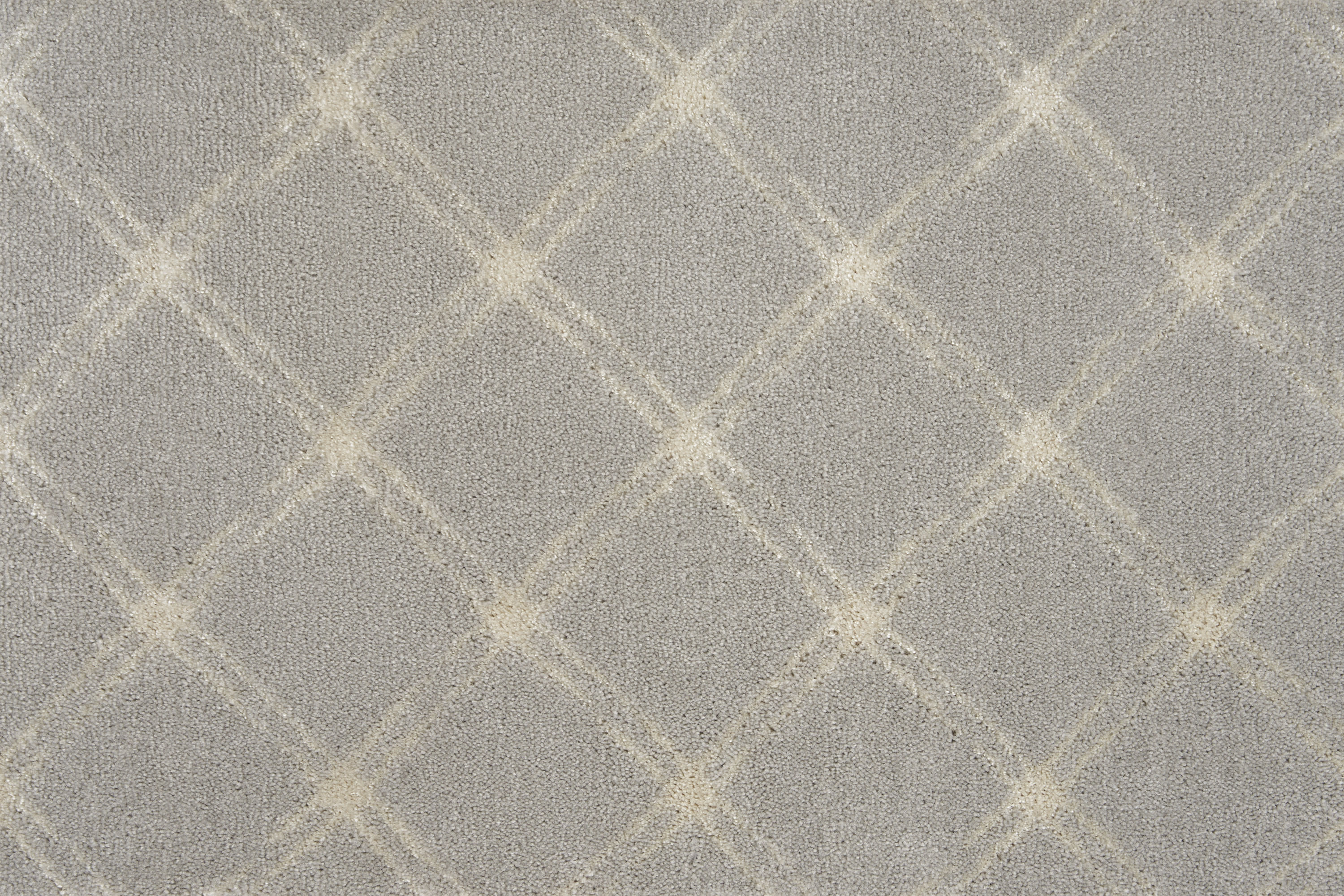color-rug1