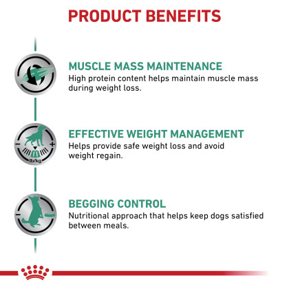 Satiety Support Support Weight Management Loaf in Sauce Canned Dog Food 