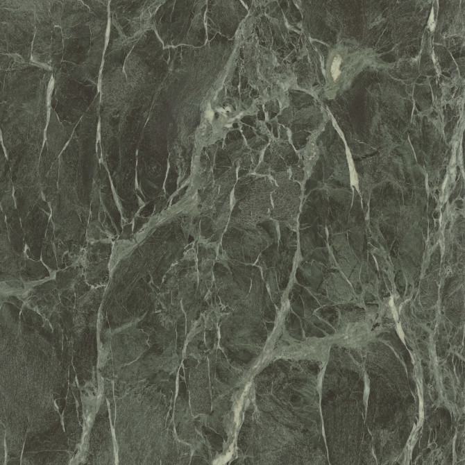 Evolve Green 48×48 Slab Polished Rectified