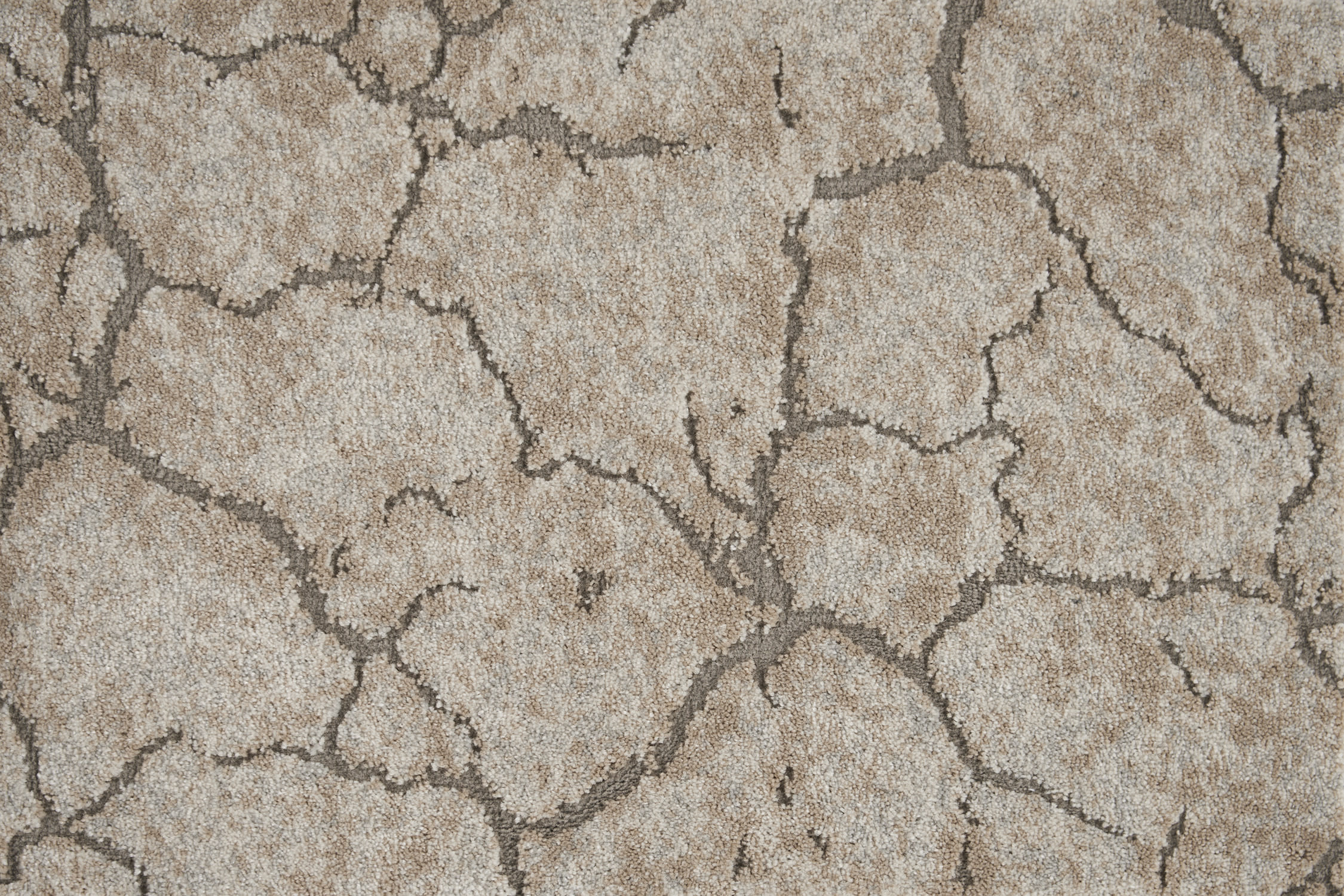 color-rug1