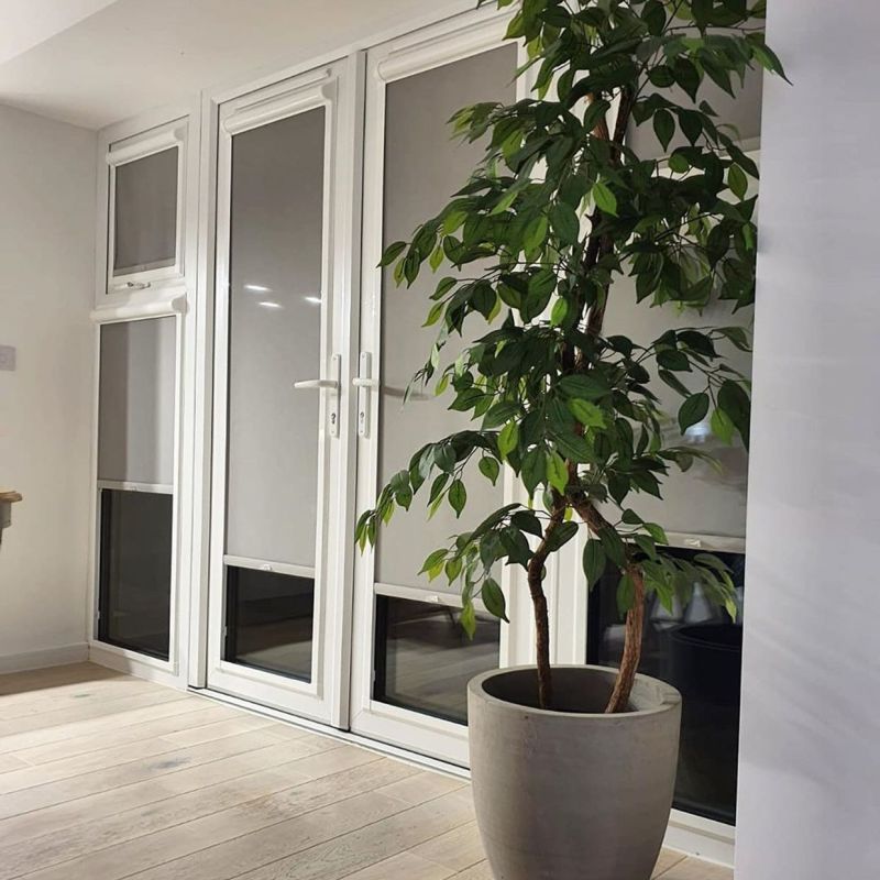 Grey roller blinds installed inside white-framed French doors and side windows, fully lowered and blocking light; modern interior with pale wood floor and a tall potted ficus tree nearby.