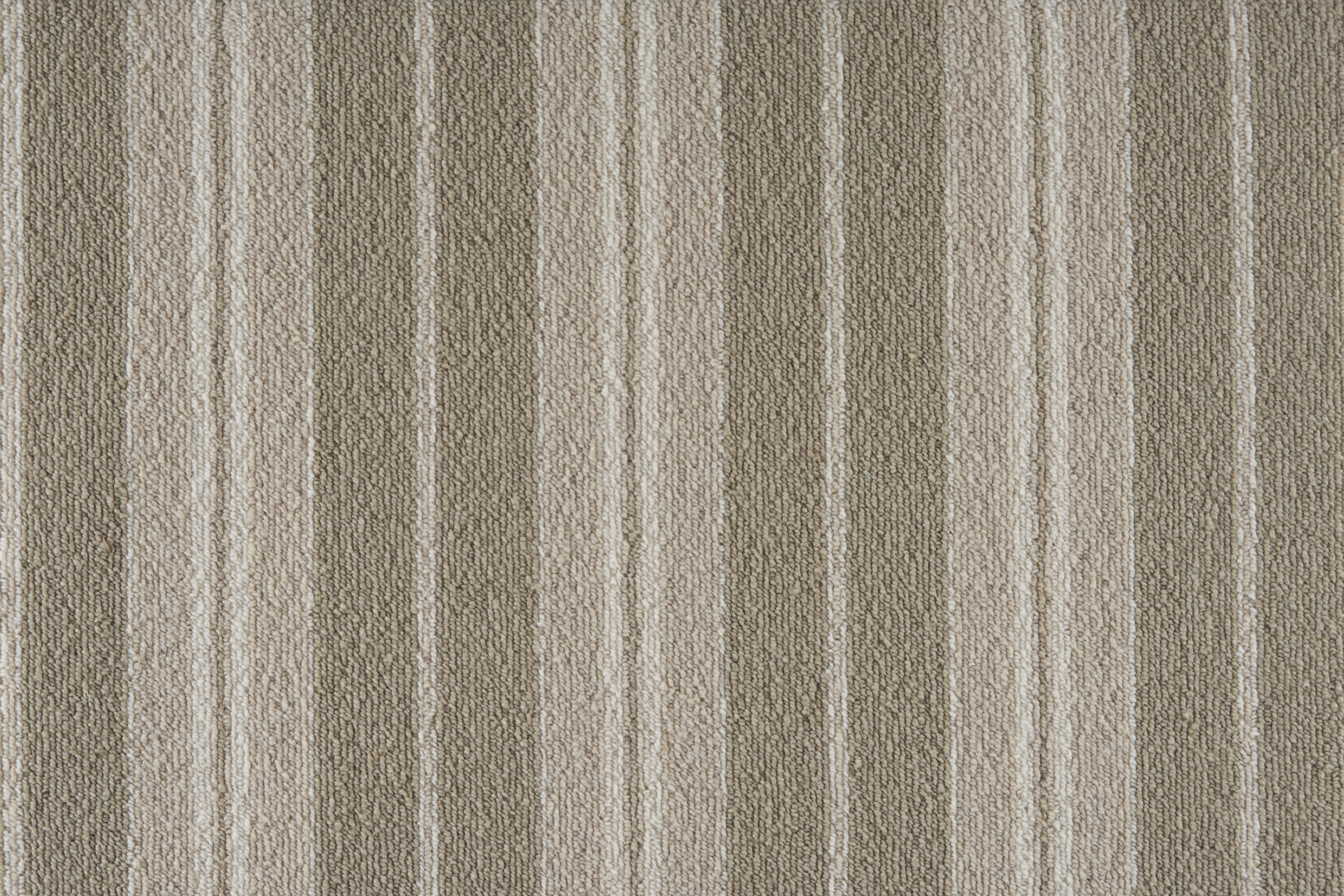 color-rug1