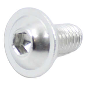 Screw M4X8/8 Iso 7380-2 A2