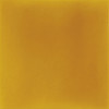 Vivid Honey 1×3-15/16 Surface Bullnose Glossy
