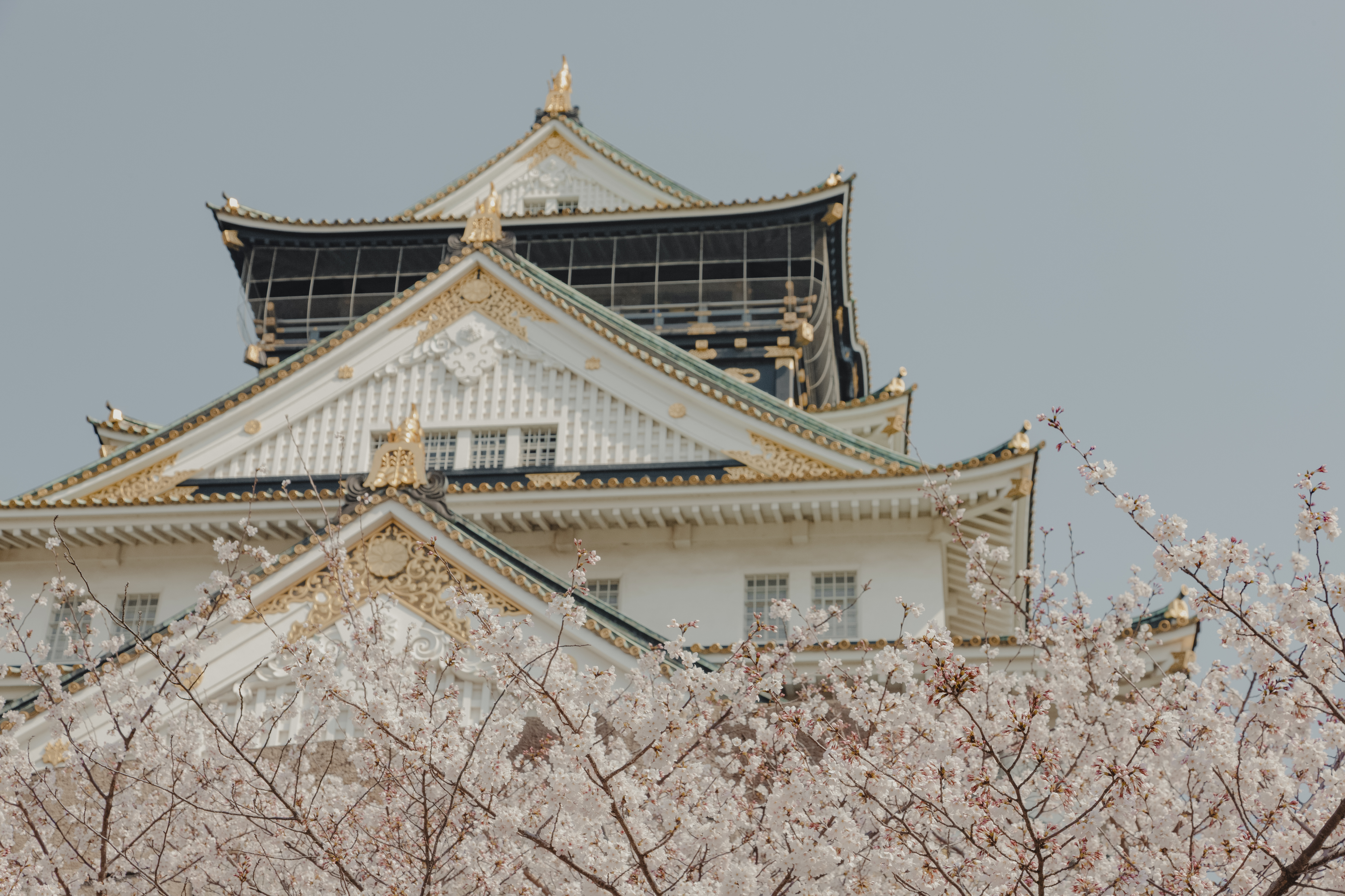 Hong Kong → Tokyo (9 nights)