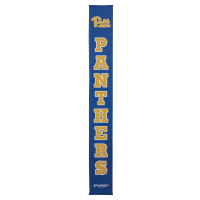 Pittsburgh Panthers thumbnail 2