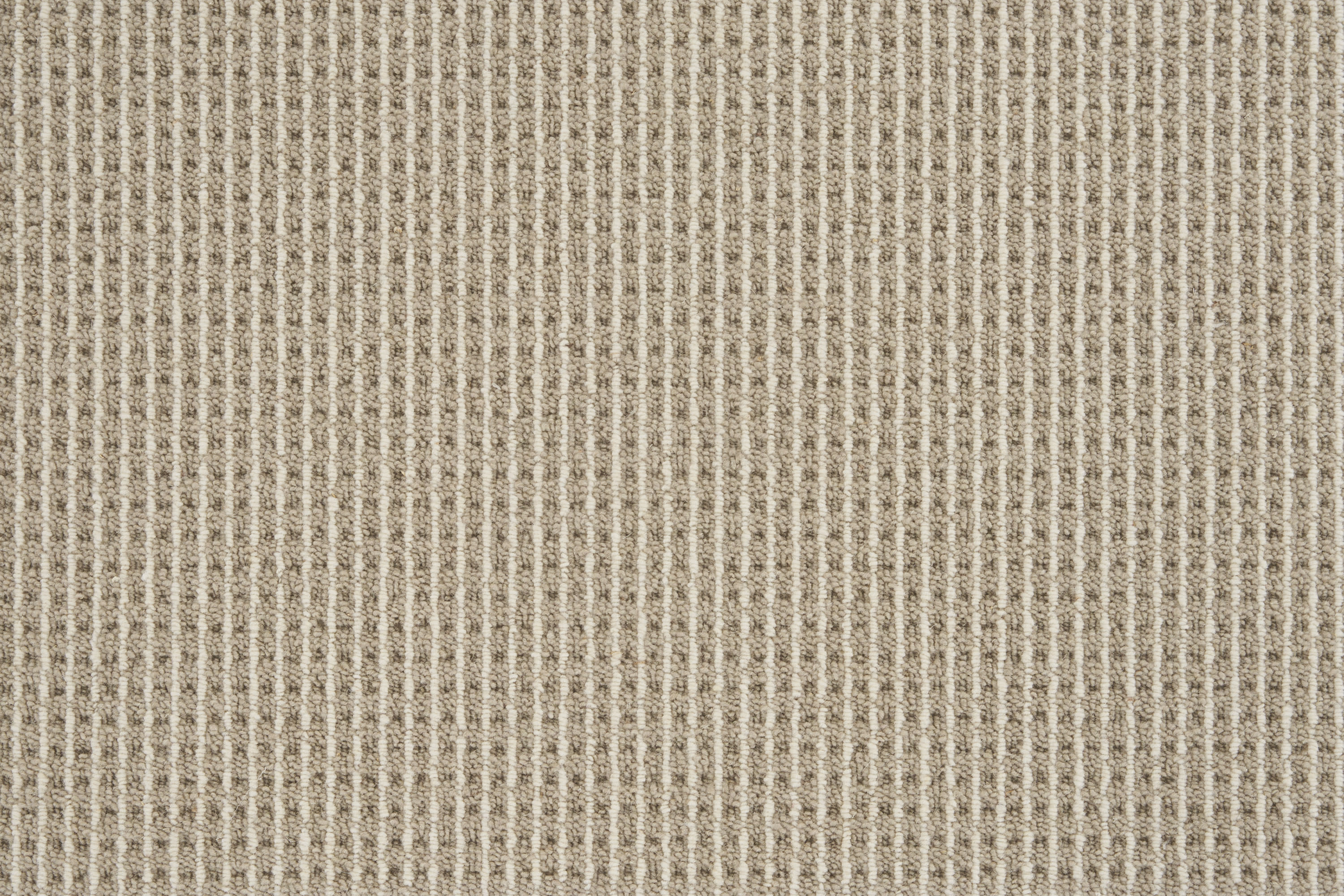 color-rug1