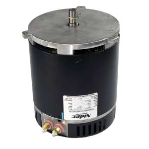 Motor 36V 3.6Hp