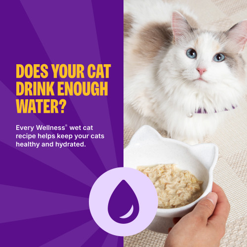 Wellness Appetizing Entrees  Age Advantage Shredded Chicken & Duck Recipe in Sauce marketing callout