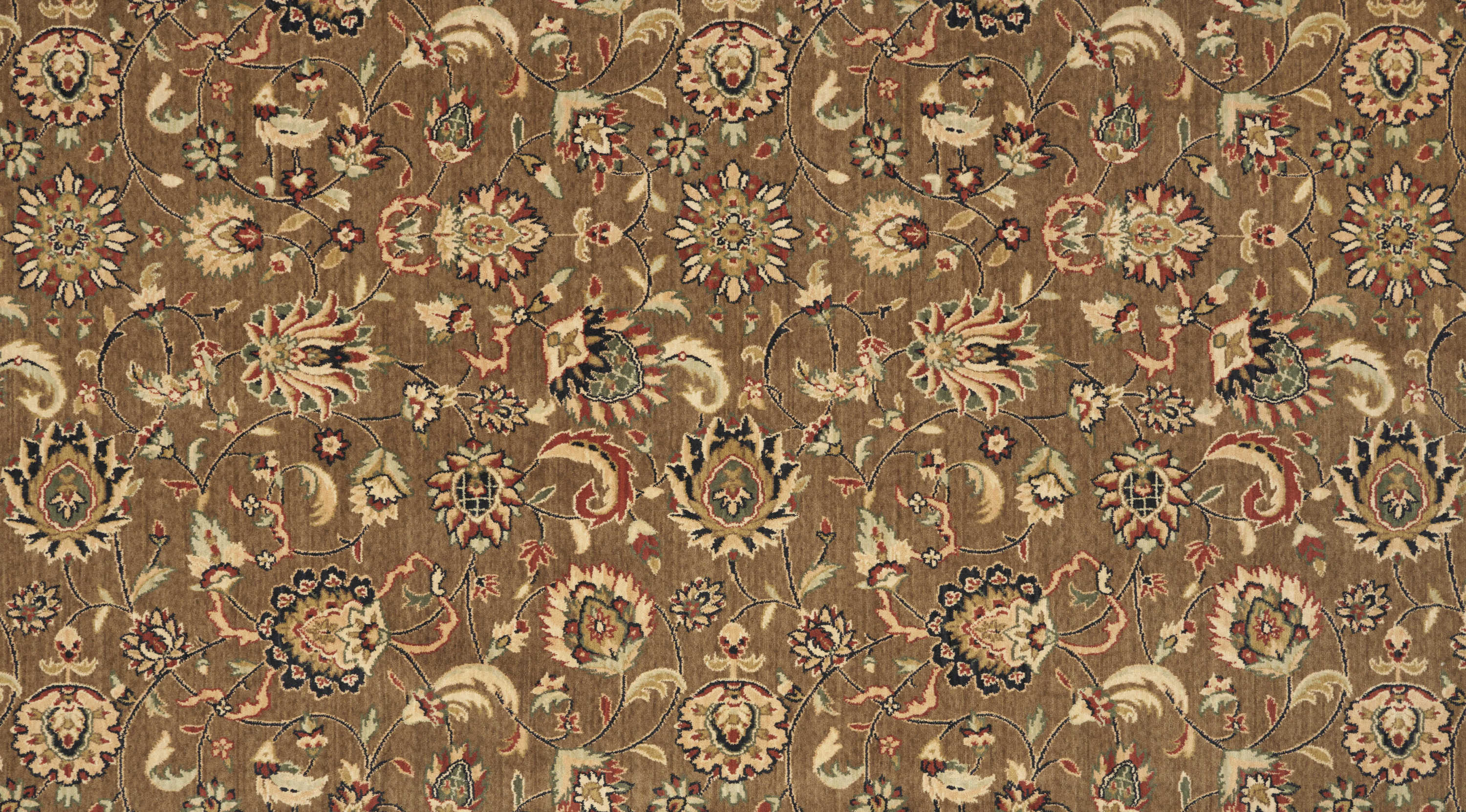color-rug1