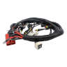 Main Electrical Harness