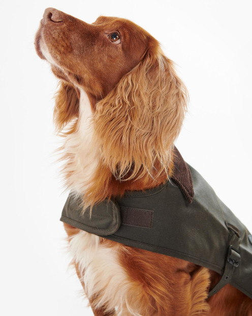 Cappotto per cani cerato 