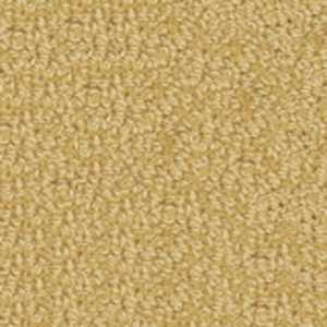 color-rug1