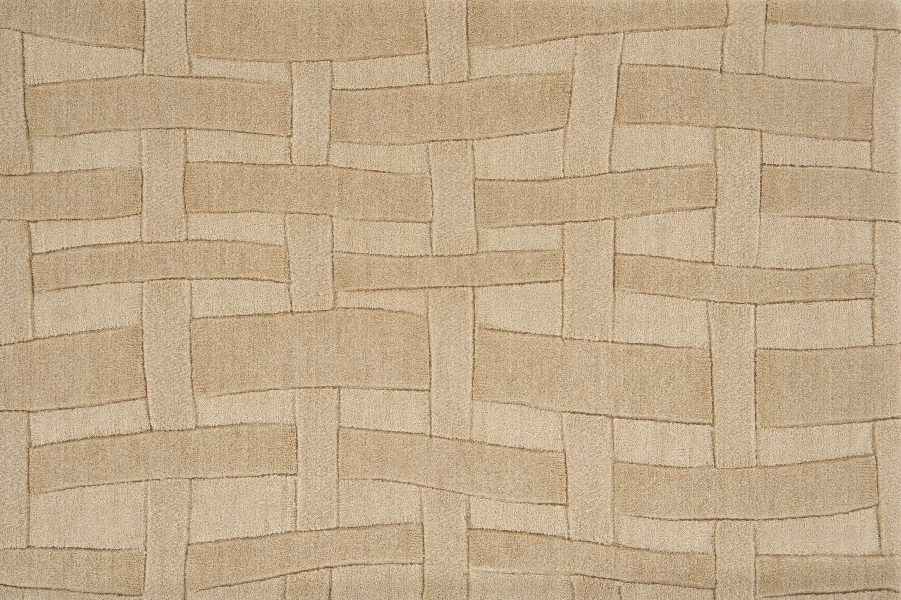 color-rug1