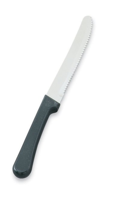 Steak knife with plastic handle
