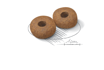 Medium Ageing 10+ kibble