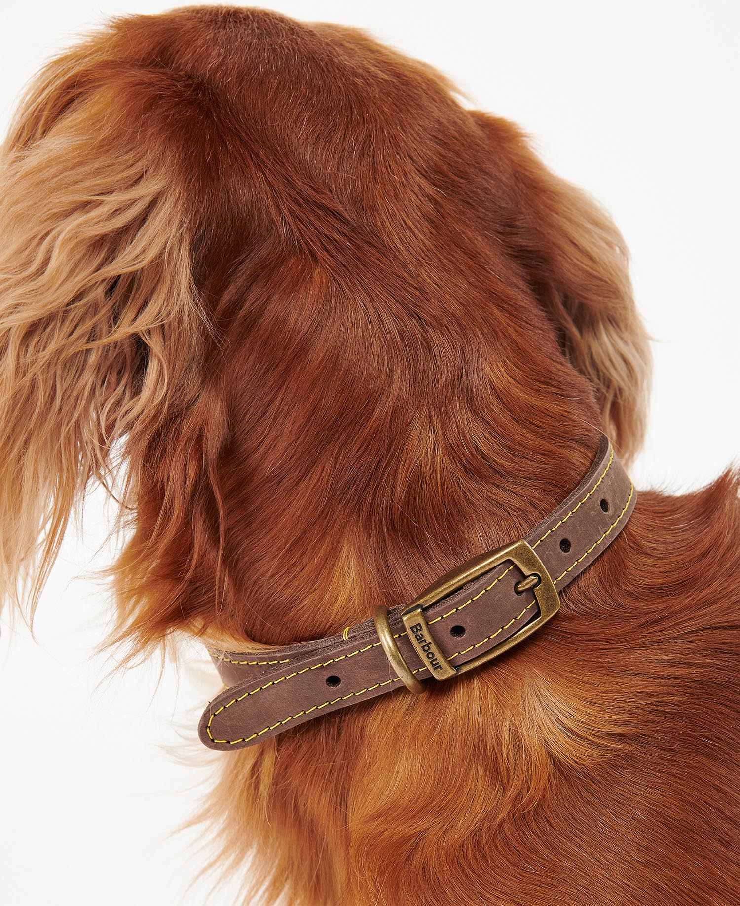 Leather Dog Collar image number 2