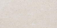 Tuscany White 8×16 Field Tile Matte